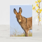 "Free to Roam" – グリーティングカード (黄色い花)