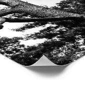 free tree ポスター (角)