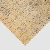 Freeborn郡、ミネソタの地図 薄葉紙 (詳細)