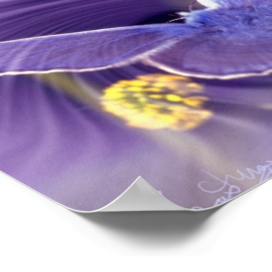 Freedom ポスター (角)