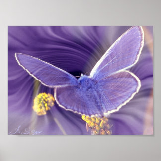 Freedom ポスター