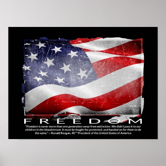 「FREEDOM」ポスター ポスター (正面)