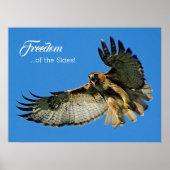 Freedom of the Skies Red-tailed Hawk ポスター (正面)