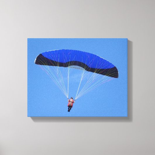 Freedom of the Sky Canvas Print キャンバスプリント (正面)