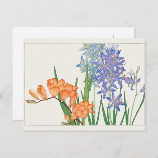 Freesiaアフリカのユリby谷上湖南 ポストカード (正面/裏面)