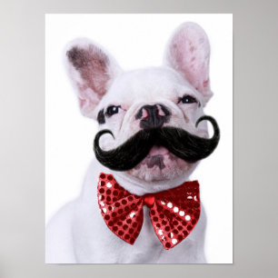 French Bull Dog Puppy With Mustache ポスター