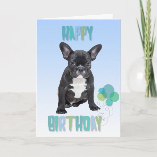 French Bulldog Blue Happy Birthday Greeting Card カード (正面)