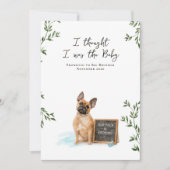 French Bulldog Dog Pregnancy Announcement 案内状 (正面)