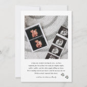 French Bulldog Dog Pregnancy Announcement 案内状 (裏面)