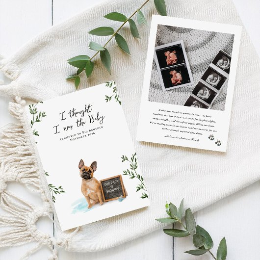 French Bulldog Dog Pregnancy Announcement 案内状