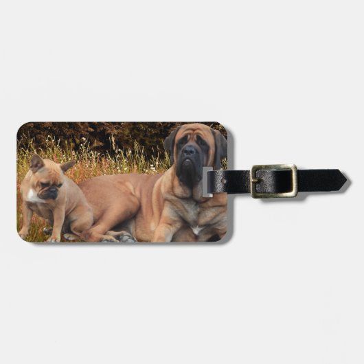 French Bulldog English Mastiff die Schönen ラゲッジタグ (正面横)