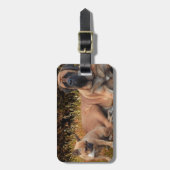 French Bulldog English Mastiff die Schönen ラゲッジタグ (正面縦)