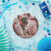 French Bulldog in Christmas Hat ペーパープレート (パーティー)