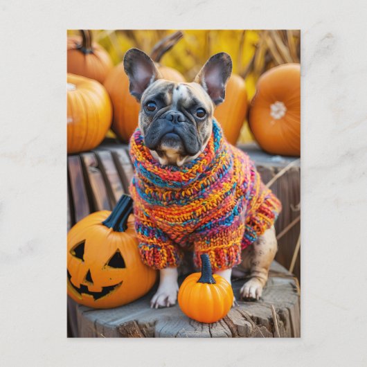 French Bulldog in Knitted Dog Attire シーズンポストカード (正面)
