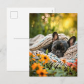 French Bulldog in Knitted Dog Attire シーズンポストカード (正面/裏面)