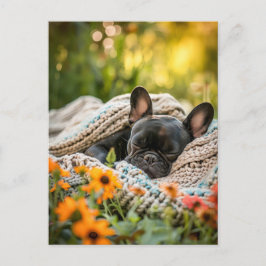French Bulldog in Knitted Dog Attire シーズンポストカード