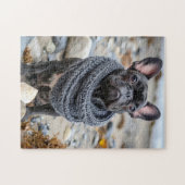 French Bulldog in Knitted Dog Attire ジグソーパズル (横)
