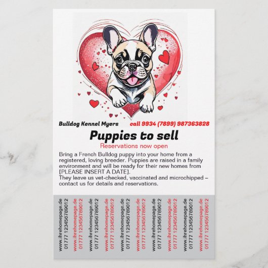 French Bulldog into your home Flyer チラシ (正面)