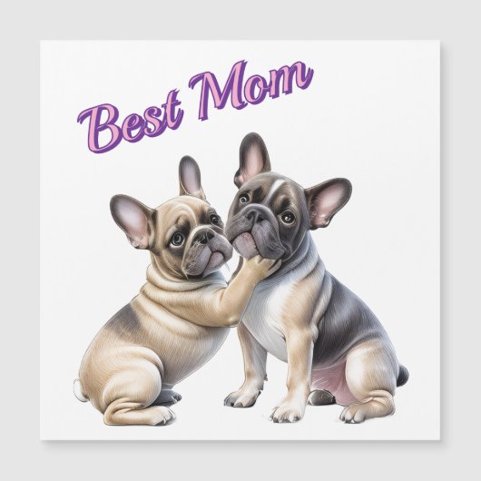 French Bulldog Liebe französische Bulldogge  (正面)