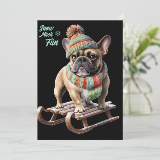 French Bulldog lustige Schlittenfahrt im Urlaub (スタンド正面)