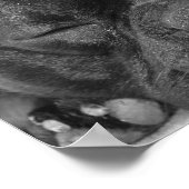 French Bulldog Print ポスター (角)