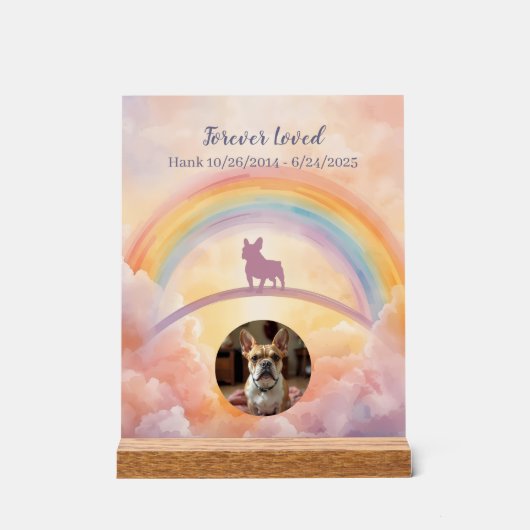 French Bulldog Rainbow Bridge Memorial Photo アクリルサイン (正面)