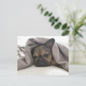 FRENCH BULLDOG RESTING RELAXING POSTCROSSING ポストカード (スタンド正面)