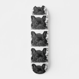 French Bulldog Skateboard スケートボード