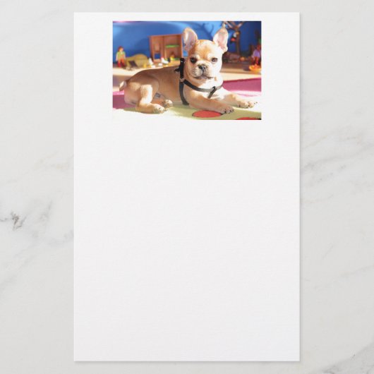 French Bulldog süßer Welpe 便箋 (正面)