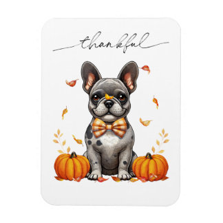 French Bulldog Thankful Fall Leaves Pumpkins マグネット