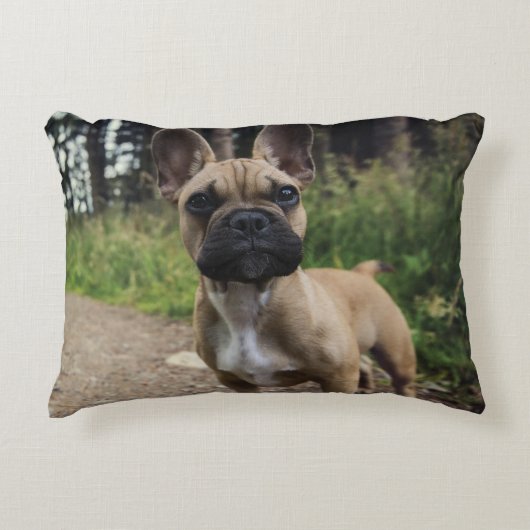 French Bulldog Throw Pillow アクセントクッション (正面)