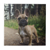 French Bulldog Throw Pillow タイル (正面)