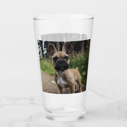 French Bulldog Throw Pillow タンブラーグラス (正面)