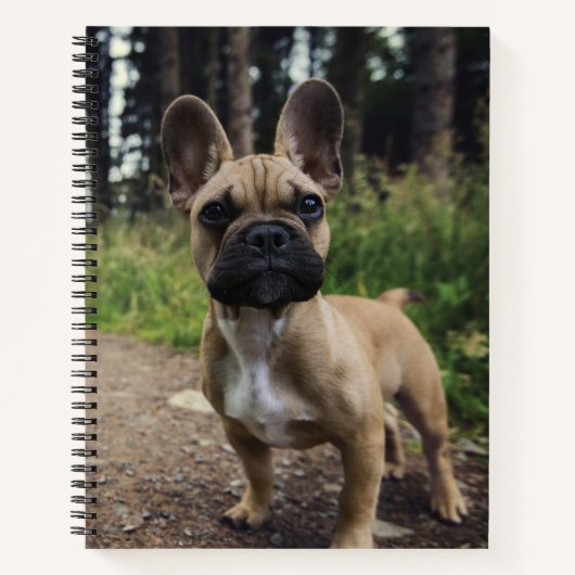 French Bulldog Throw Pillow ノートブック (正面)
