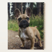 French Bulldog Throw Pillow プランナー手帳 (裏面)