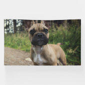 French Bulldog Throw Pillow 横断幕 (横)
