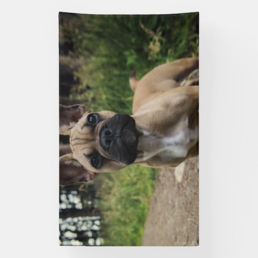French Bulldog Throw Pillow 横断幕 (縦)