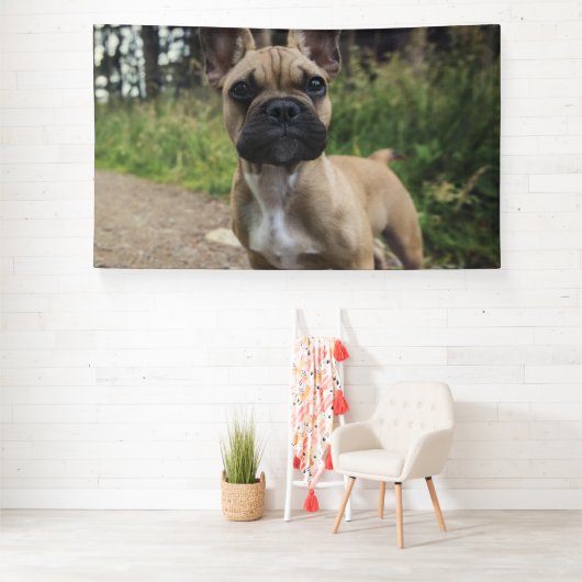 French Bulldog Throw Pillow 横断幕 (インサイチュ)