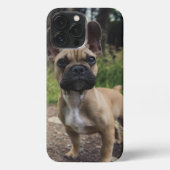 French Bulldog Throw Pillow iPhoneケース (裏面)