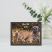 French Bulldog und Mastiff Freunde ポストカード (スタンド正面)