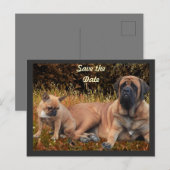 French Bulldog und Mastiff Freunde ポストカード (正面/裏面)
