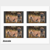 French Bulldog und Mastiff Freunde 長方形シール (シート)