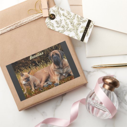 French Bulldog und Mastiff Freunde 長方形シール (ギフト)