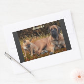 French Bulldog und Mastiff Freunde 長方形シール (封筒)