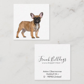 French Bulldogs Square Business Card スクエア名刺