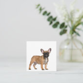 French Bulldogs  Square Business Card スクエア名刺 (スタンド正面)