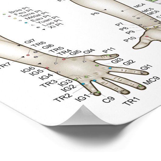 French Five Elements Acupuncture ポスター (角)