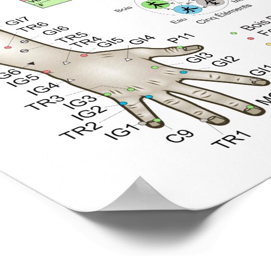 French Five Elements Acupuncture ポスター (角)