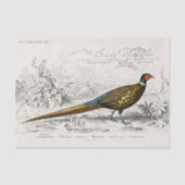 French Pheasant Bird Carte Postale Decoupage Vint 薄葉紙 (正面)