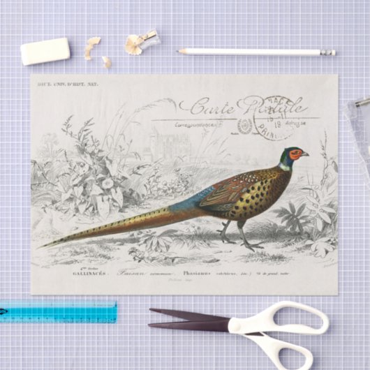 French Pheasant Bird Carte Postale Decoupage Vint 薄葉紙 (クラフト)